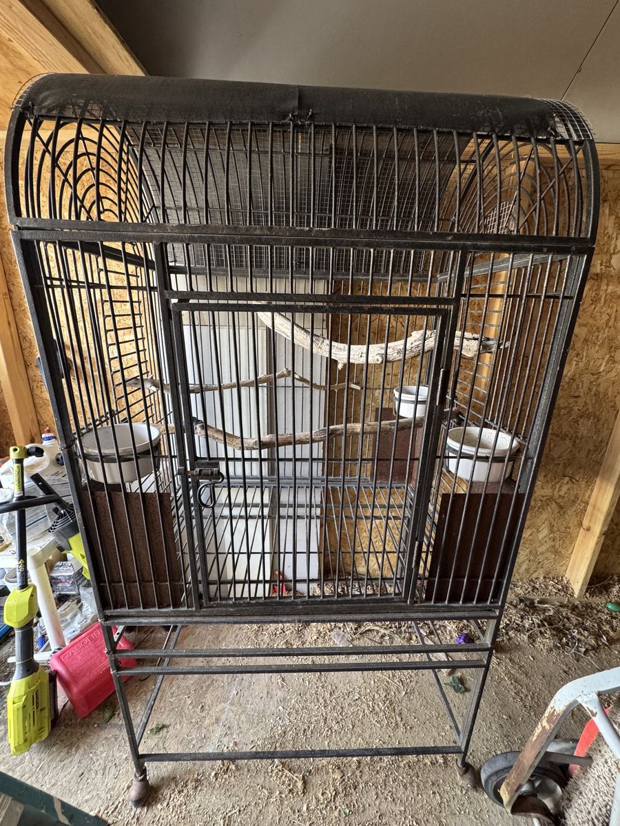 XL Bird Cage