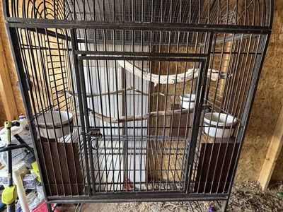 XL Bird Cage