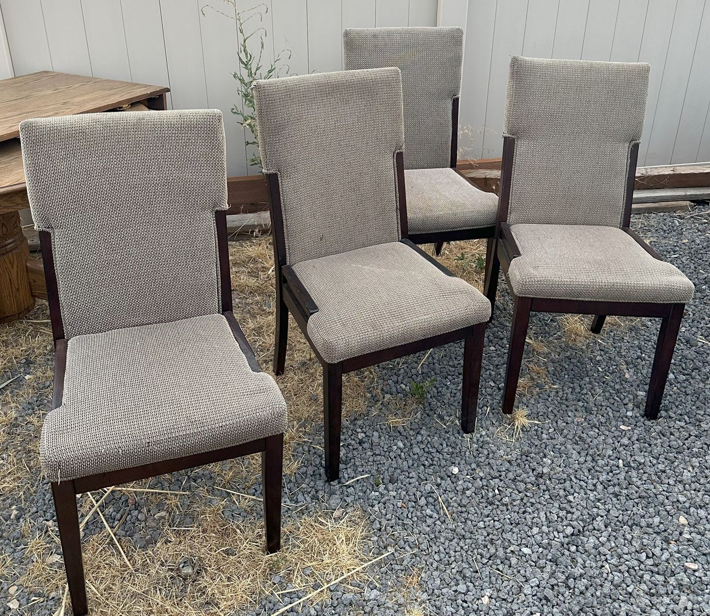 Set of 4 Upholstered Dining Chairs - Neutral Fabric, Dark Wood Frame
