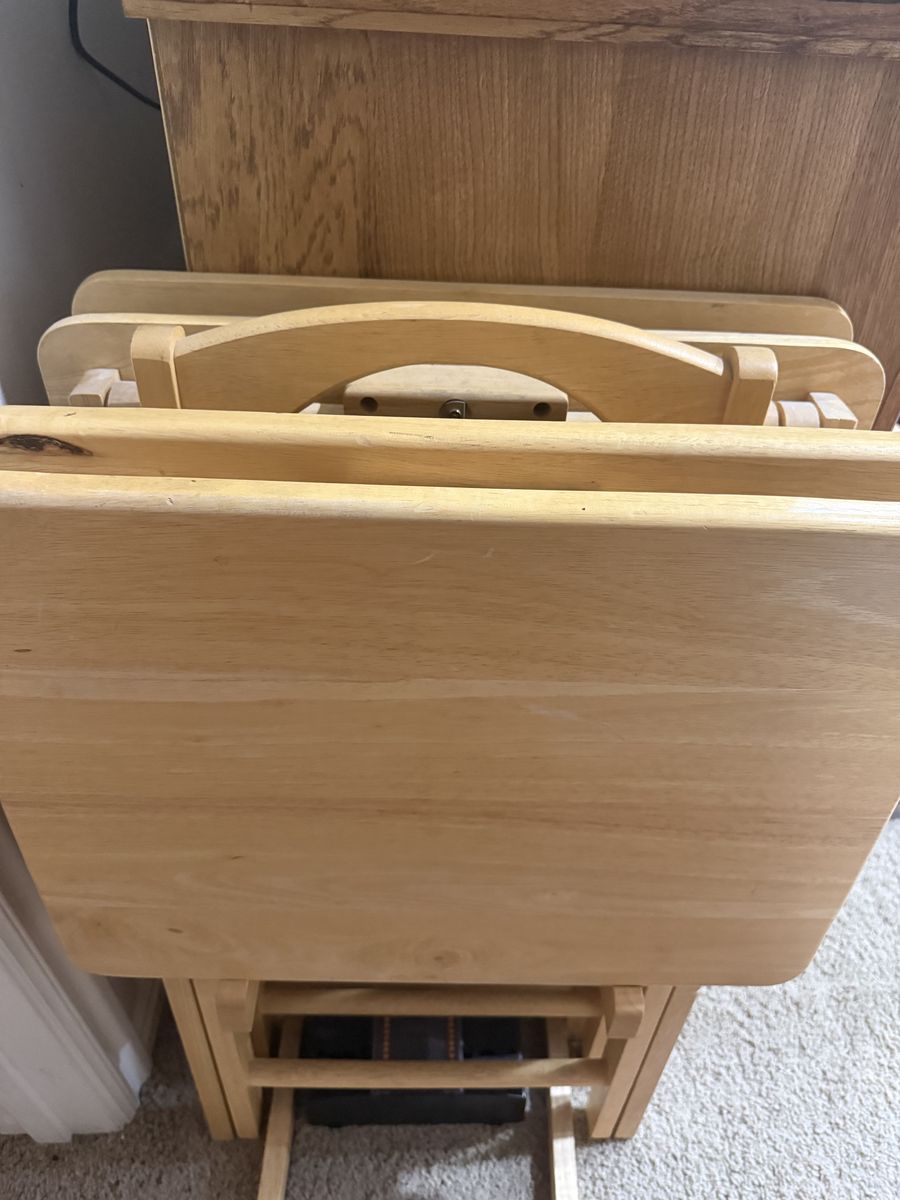 Set of 4 TV trays with stand