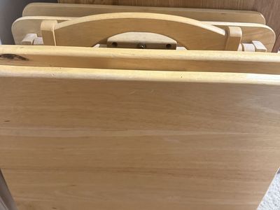 Set of 4 TV trays with stand
