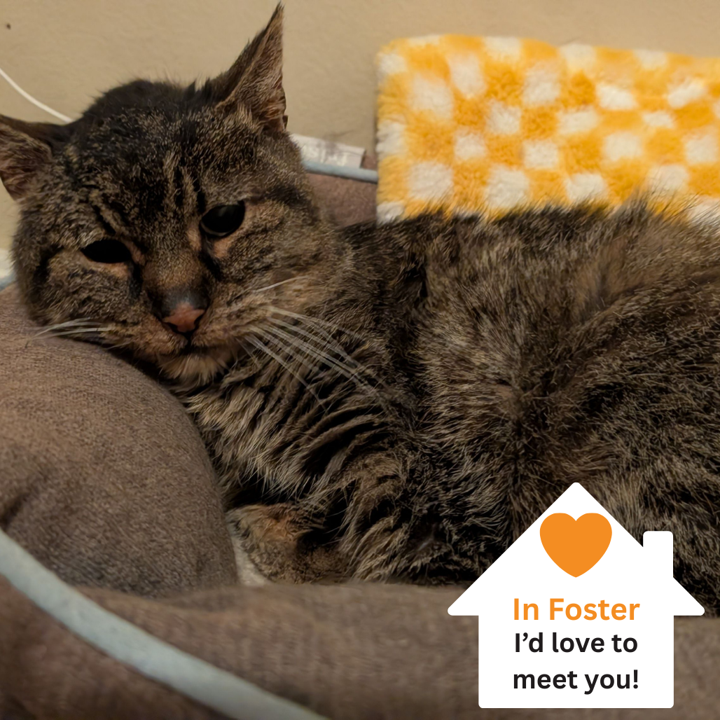 Hello my name is Hubert