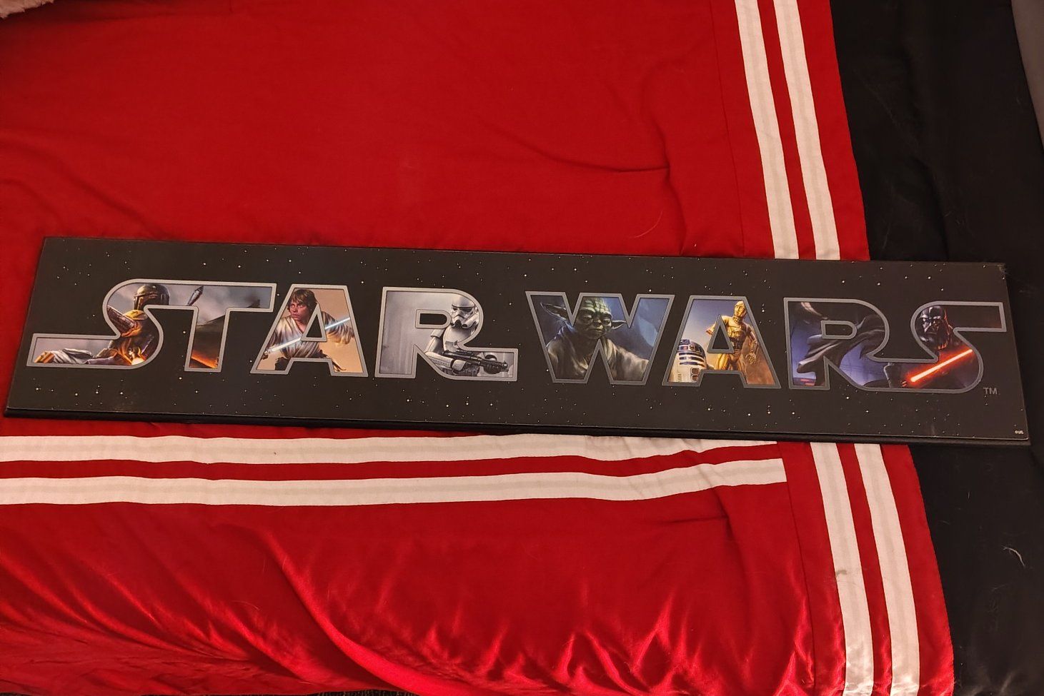 Star Wars wood painting