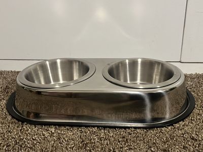 Standing double dog bowls