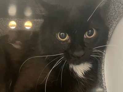 Hello my name is Brennan