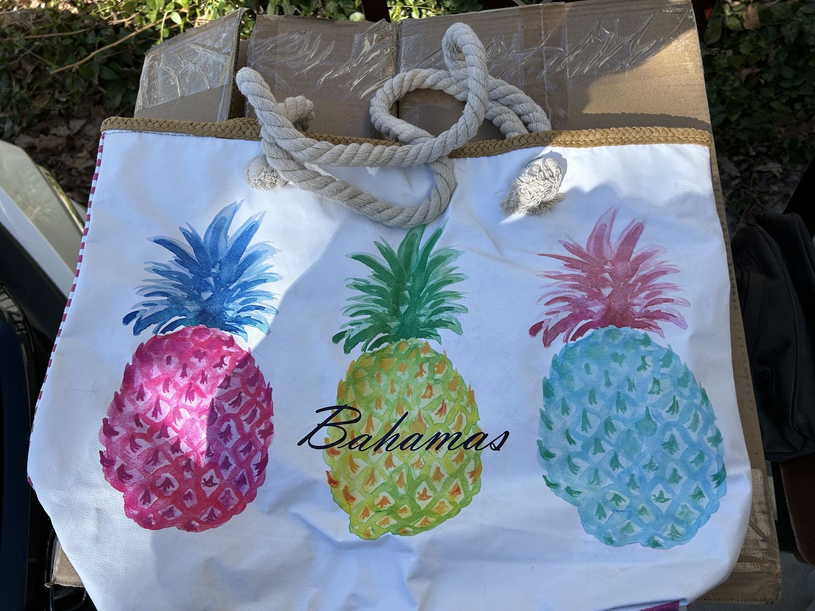 Bahamas Beach Bag