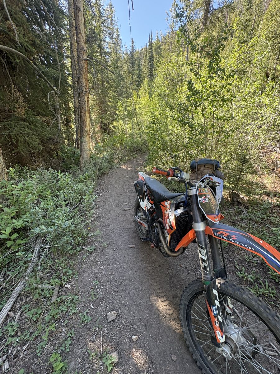 KTM SXF 250