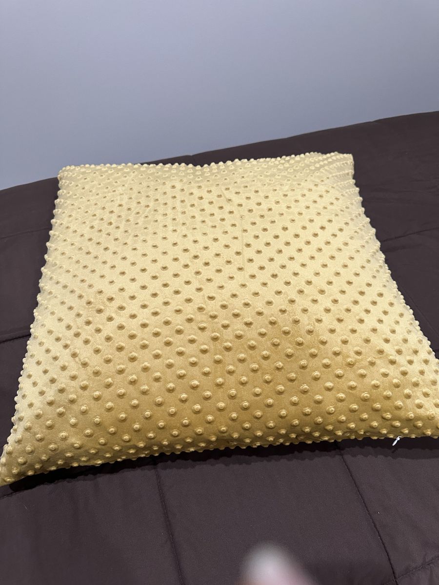 24" pillows and zippered covers $25 obo