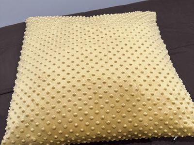 24" pillows and zippered covers $25 obo