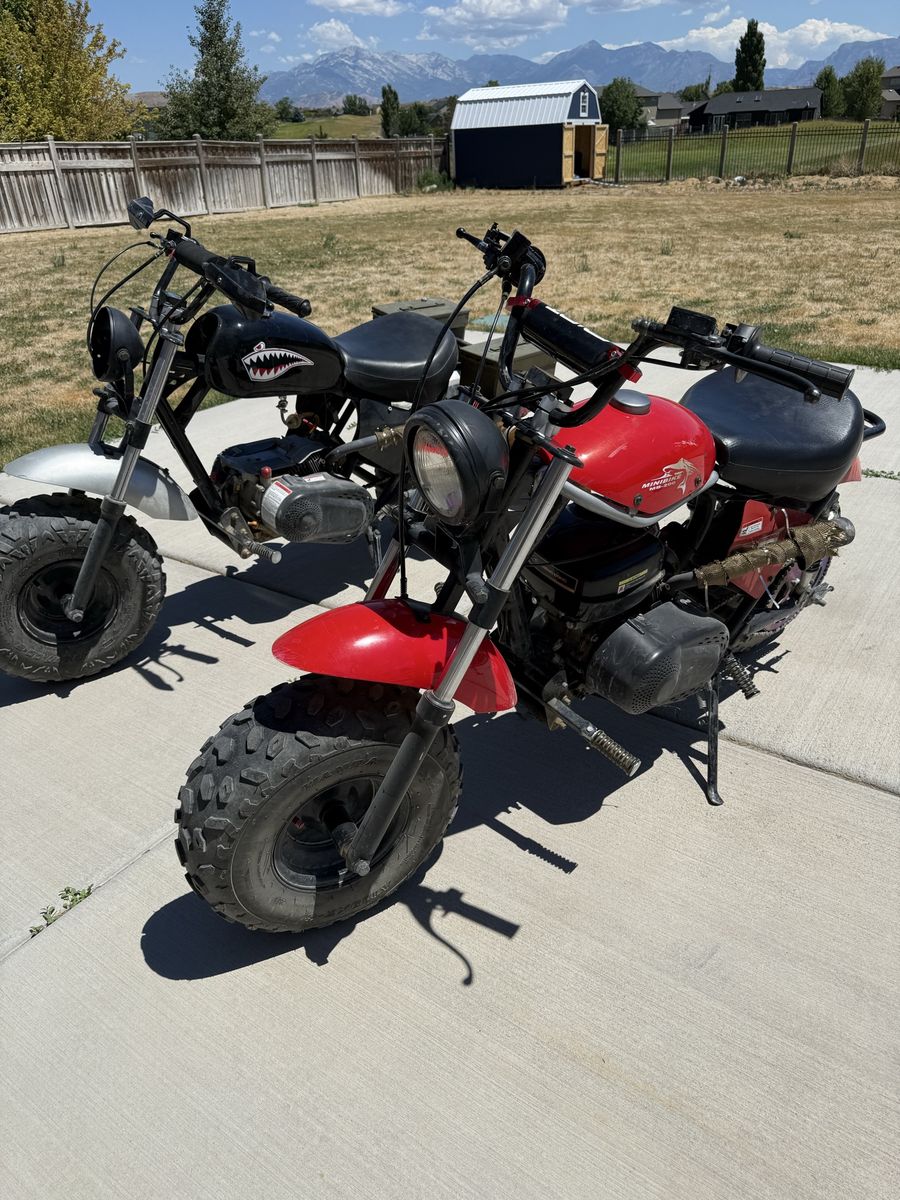 Pair of Used Mini Bikes - Red & Black, Custom