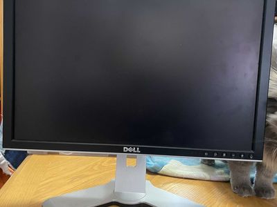 Dell 2007WFP 20" UltraSharp Monitor