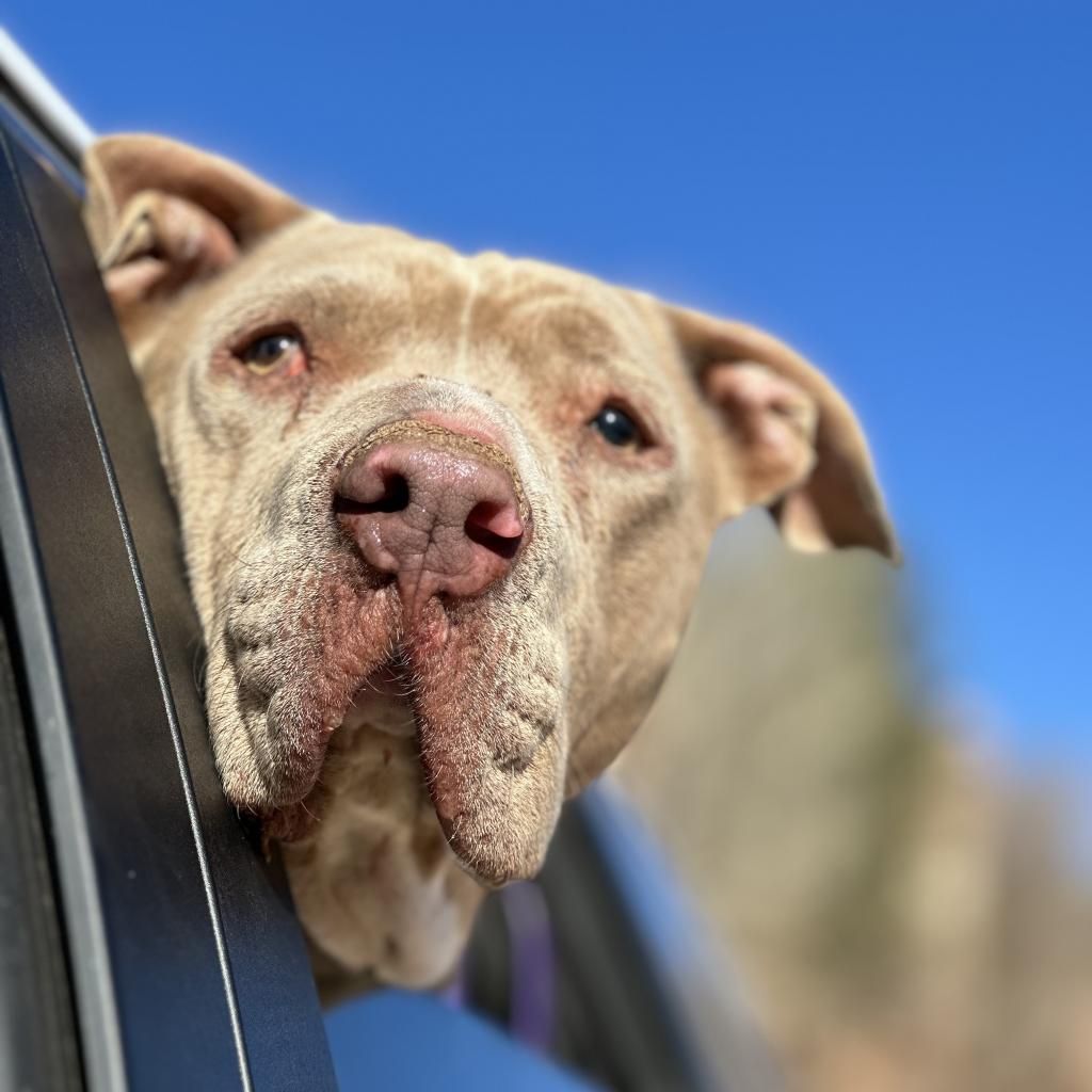 Hello my name is Lincoln