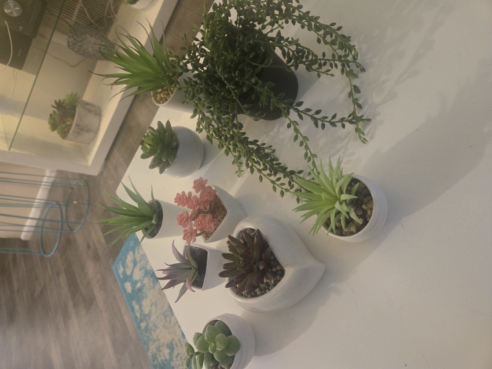 Main image 3