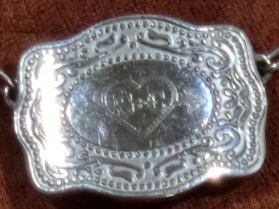 Spurwest Necklace 19” long