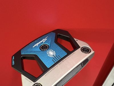 TaylorMade Spider ZT Putter