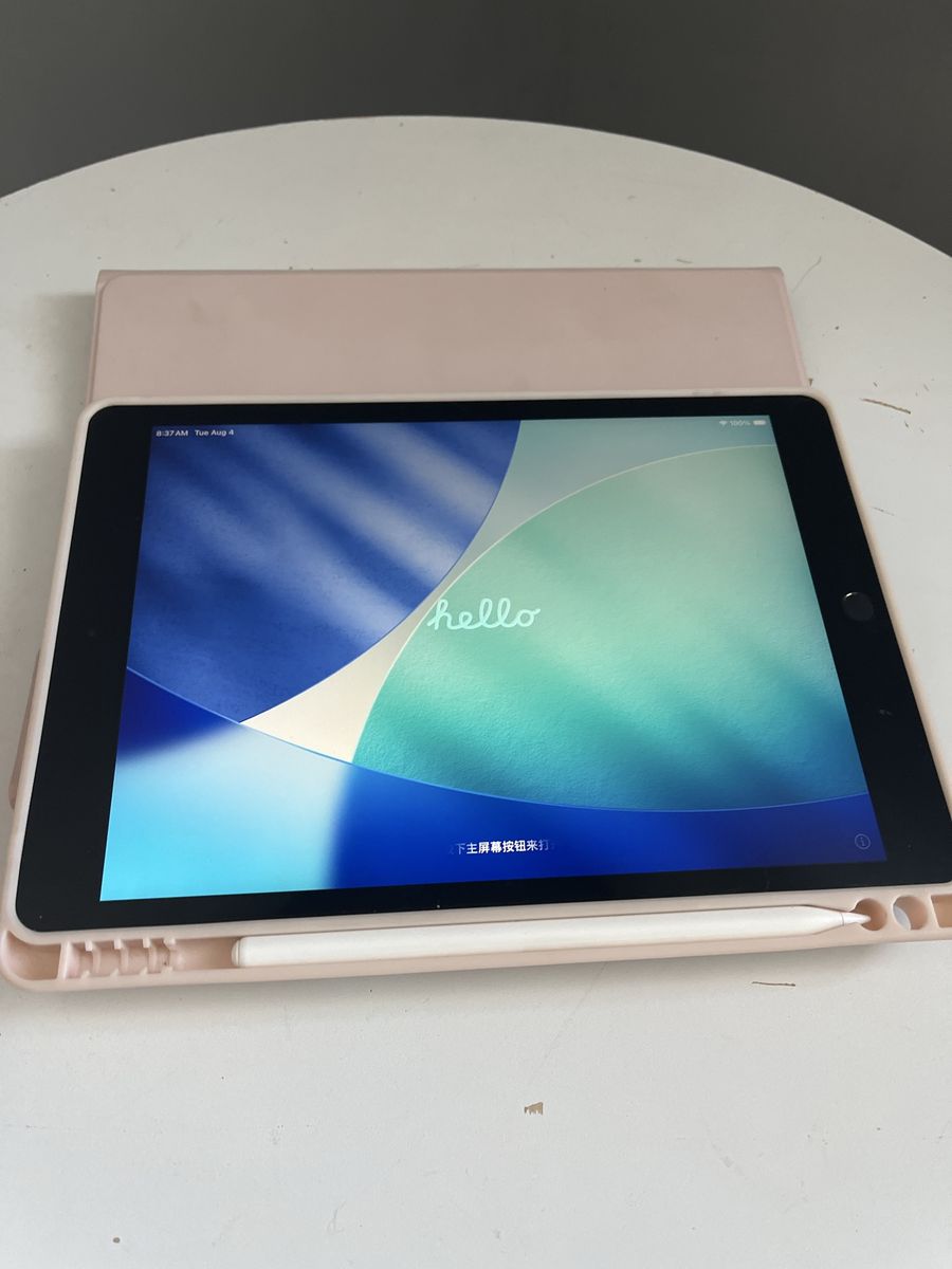 Apple iPad with Pink Case and Stylus Pencil