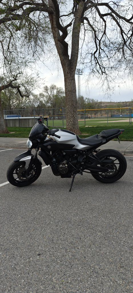 2017 Yamaha FZ-07