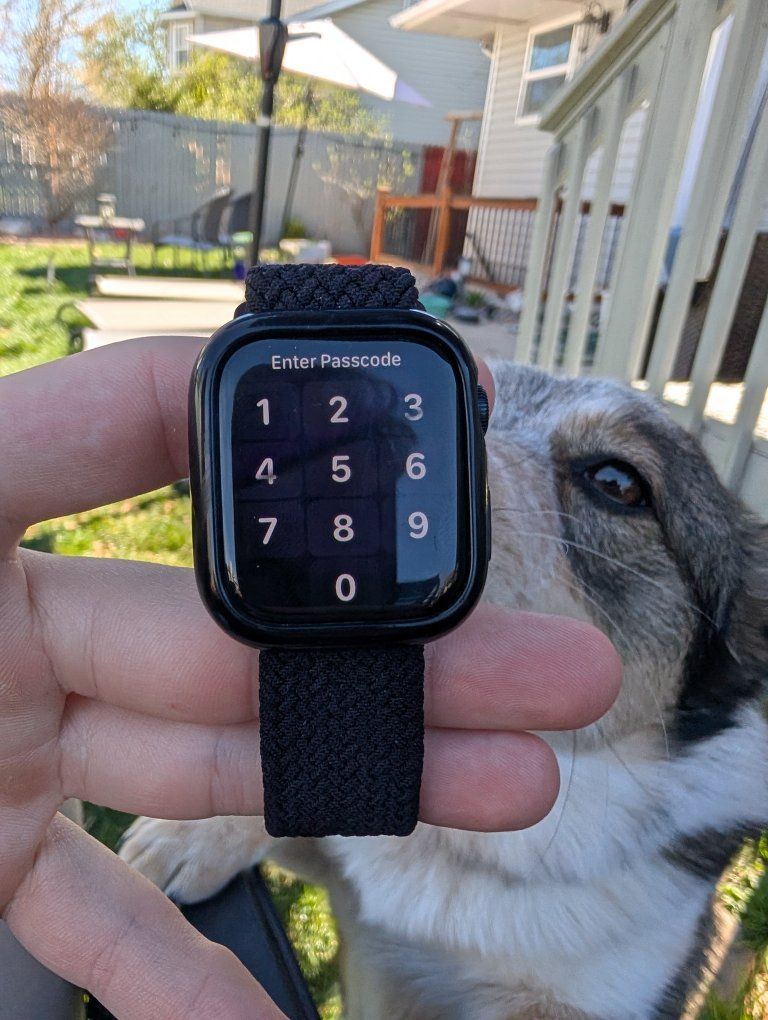 Apple Watch