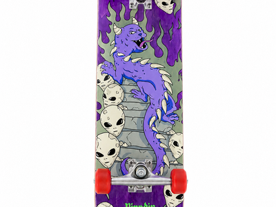 Ripndip skate board with pads and helmet