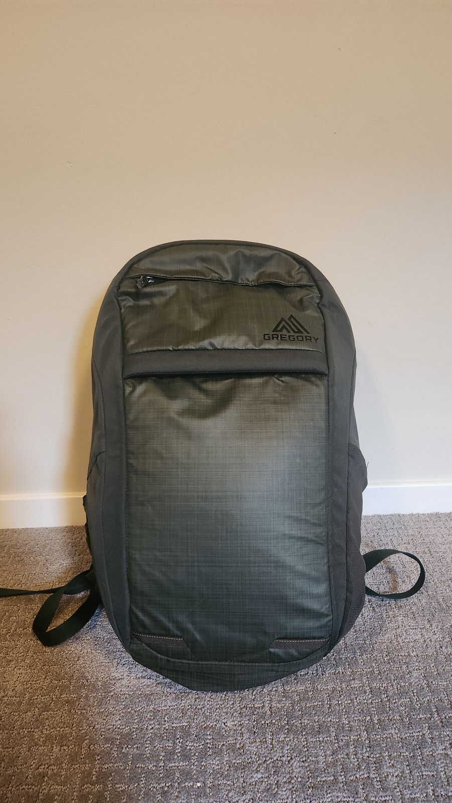 Gregory Resin 22L Backpack