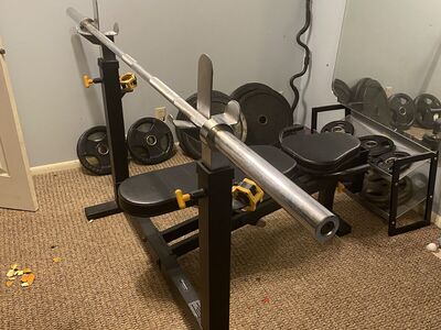 Bench and Weights