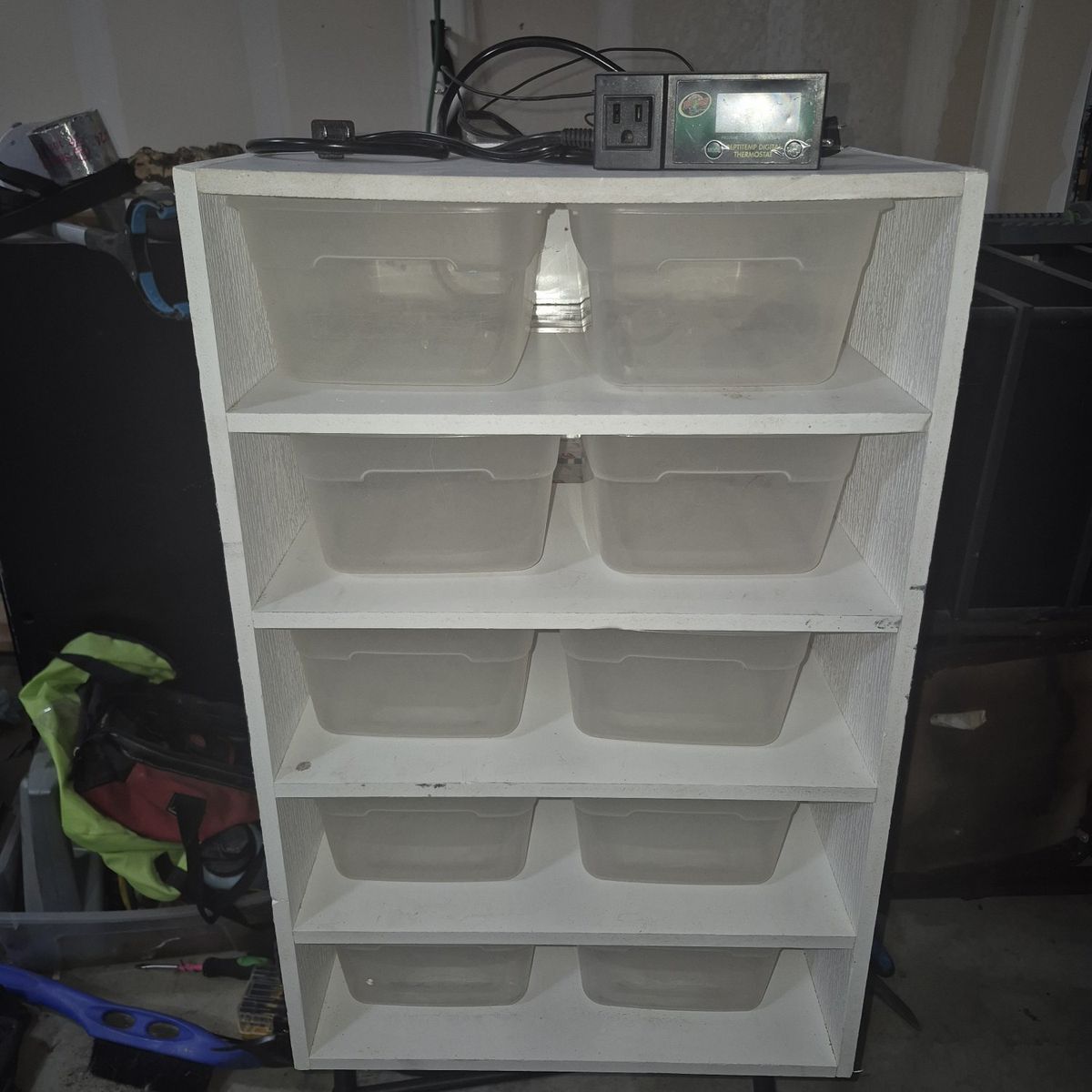 Snake/Reptile rack
