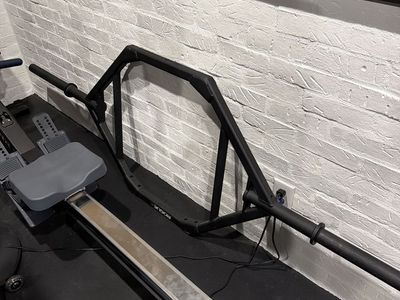Rogue Trap Bar