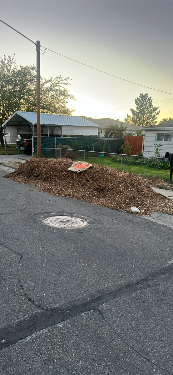 Free woodchips