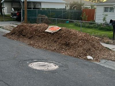 Free woodchips