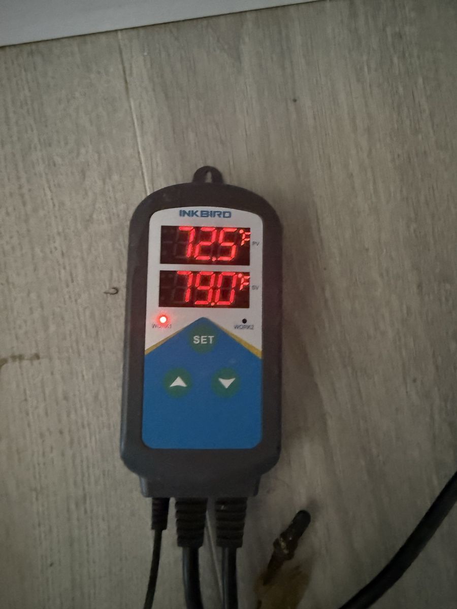 Inkbird Digital Temperature Controller with Sensor Probe