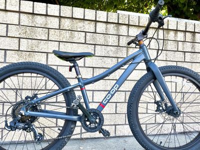 REI CoOp Rev 24 kids Mtn bike. 24” wheels, disc brakes $500 new