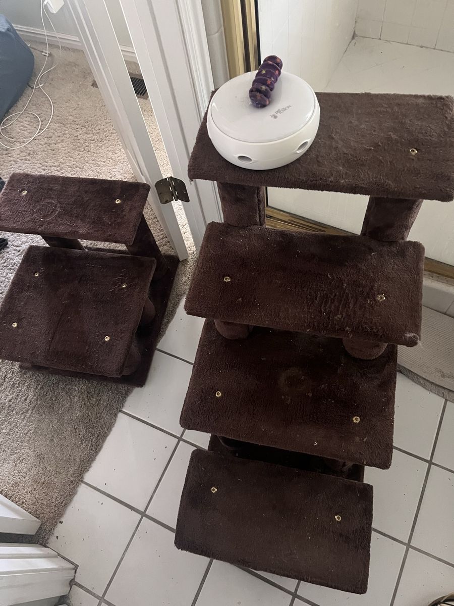 Senior Cat Stairs + goodies