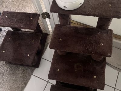 Senior Cat Stairs + goodies