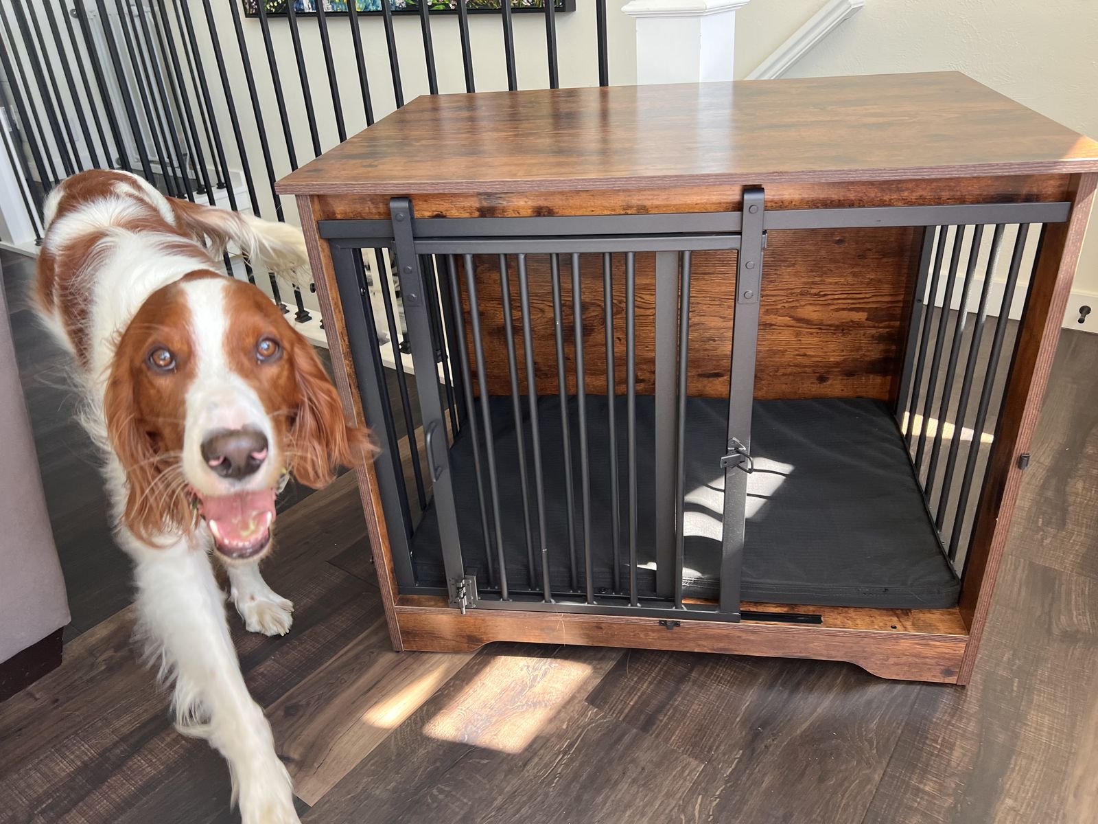 Furniture Style Dog Crate