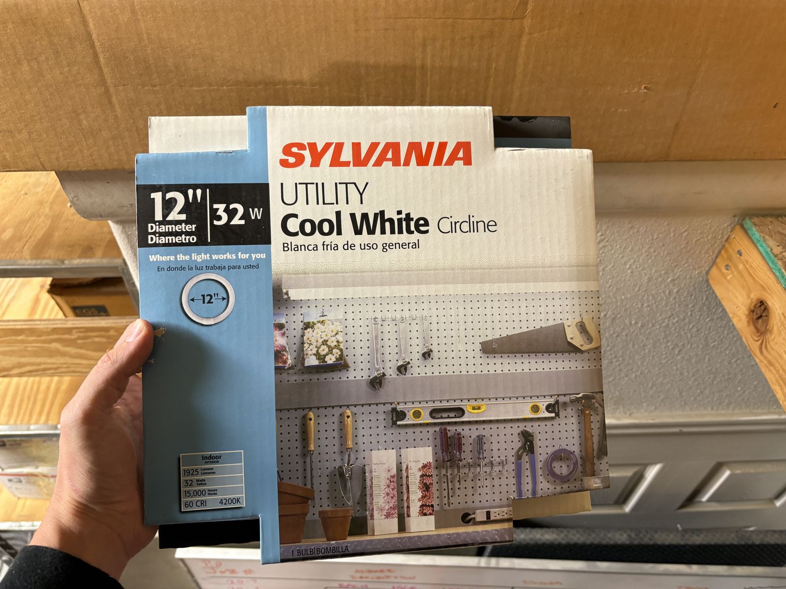 Sylvania Utility Cool White Circline 12” lights-----Bulk Option Available