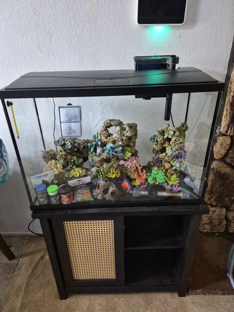 GloFish 29 Gallon Aquarium Starter Kit with Decor & Accessories