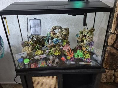 GloFish 29 Gallon Aquarium Starter Kit with Decor & Accessories