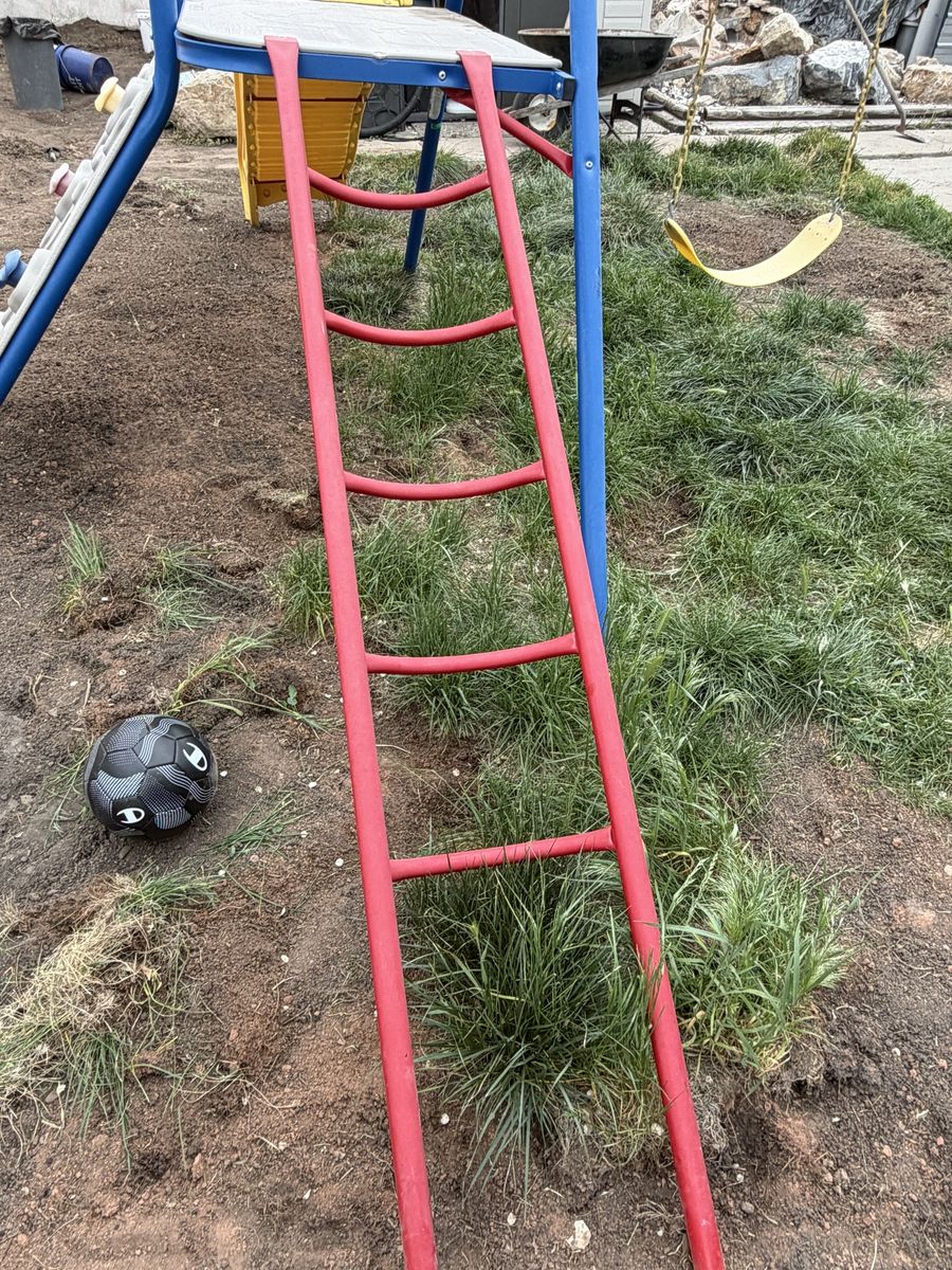 Lifetime Swing Set