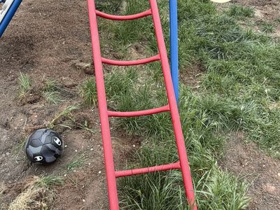 Lifetime Swing Set