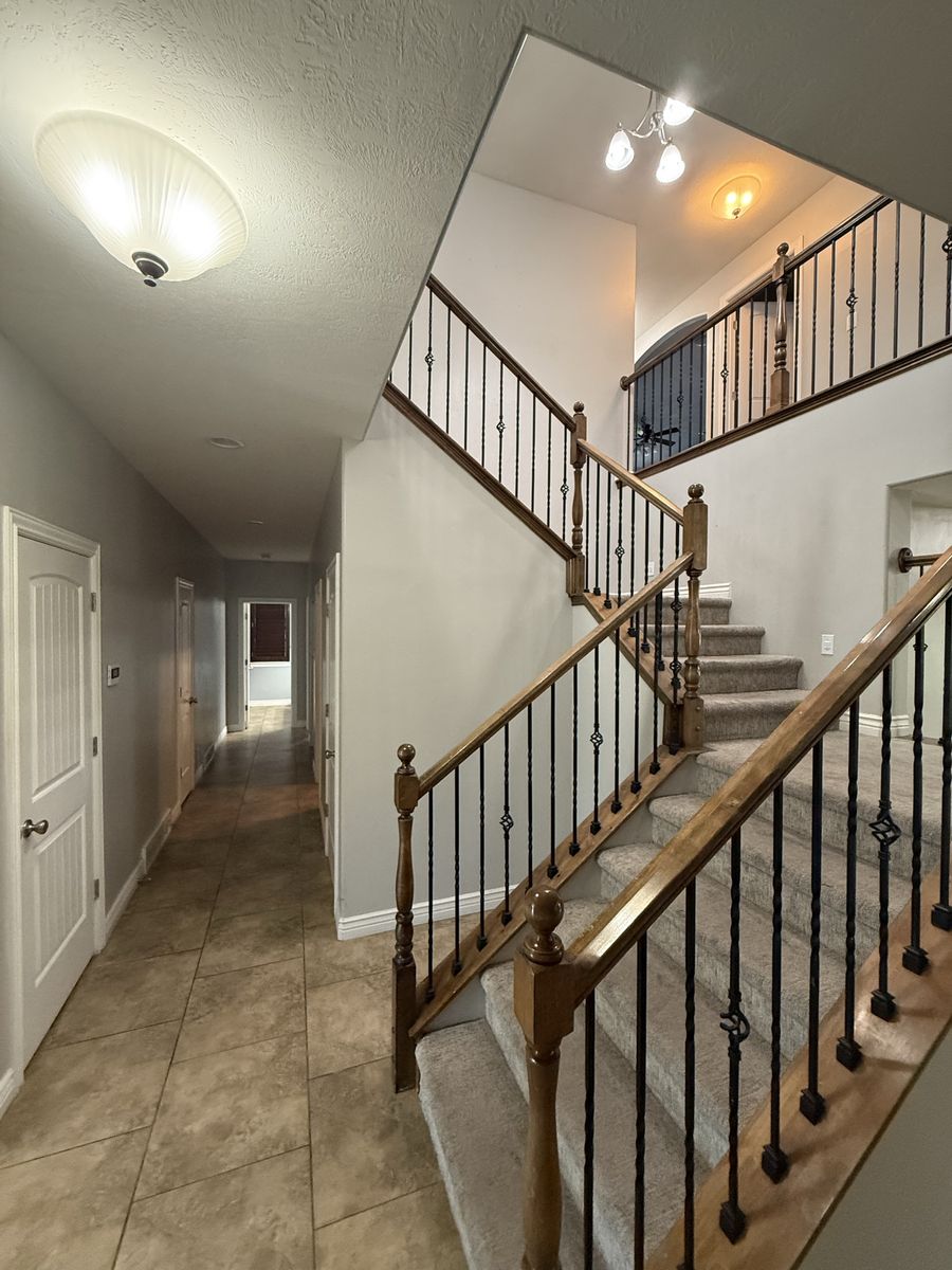 Main image 13