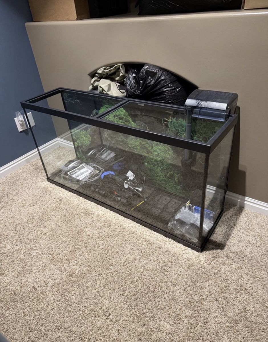 Main image 8