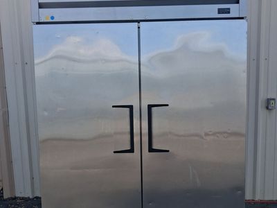 2 Door True Freezer