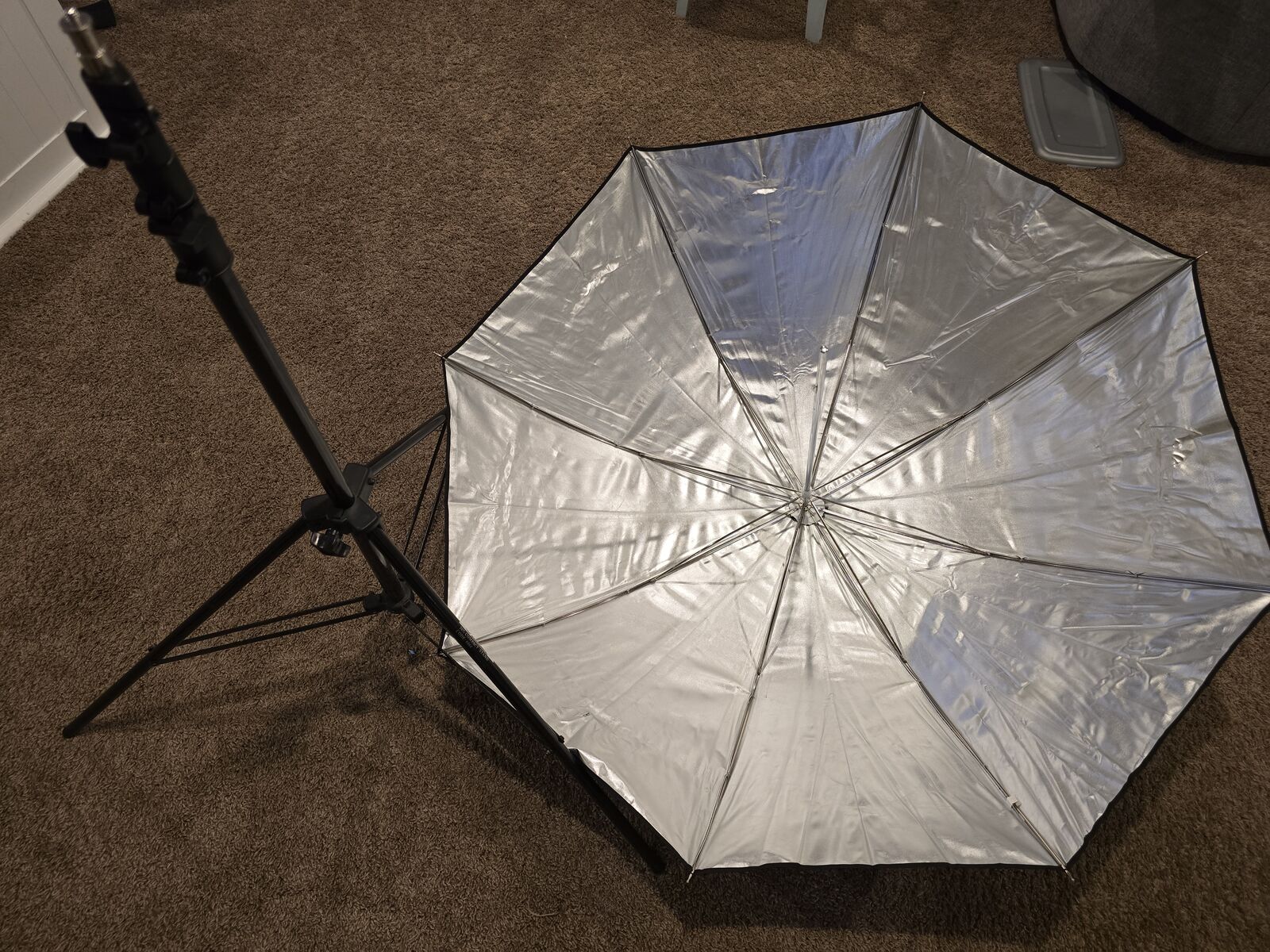 Photography Stands and Umbrellas $20 or OBO