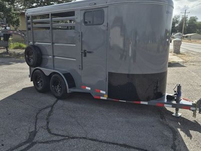 Premium 2-Horse 14' HD Torsion Axle