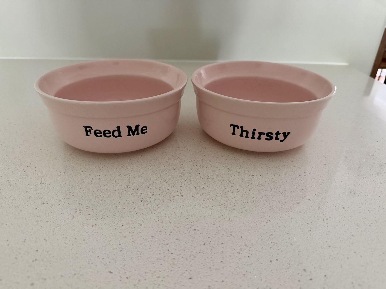 Pink Ceramic Pet Bowls – Feed Me & Thirsty Set