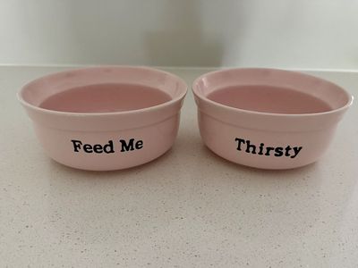 Pink Ceramic Pet Bowls – Feed Me & Thirsty Set