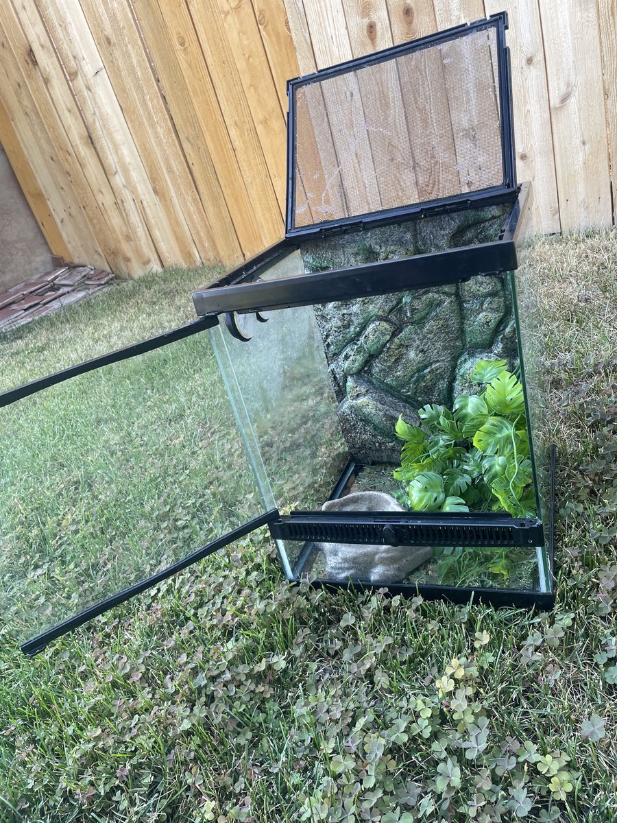 Reptile Tank