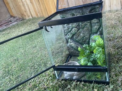 Reptile Tank