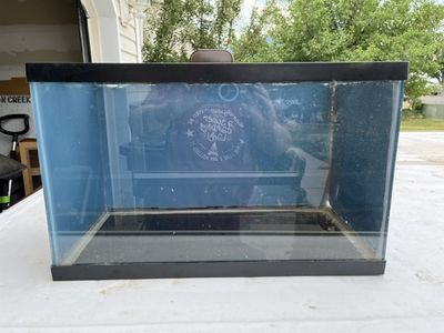 10 Gallon Glass Fish Tank