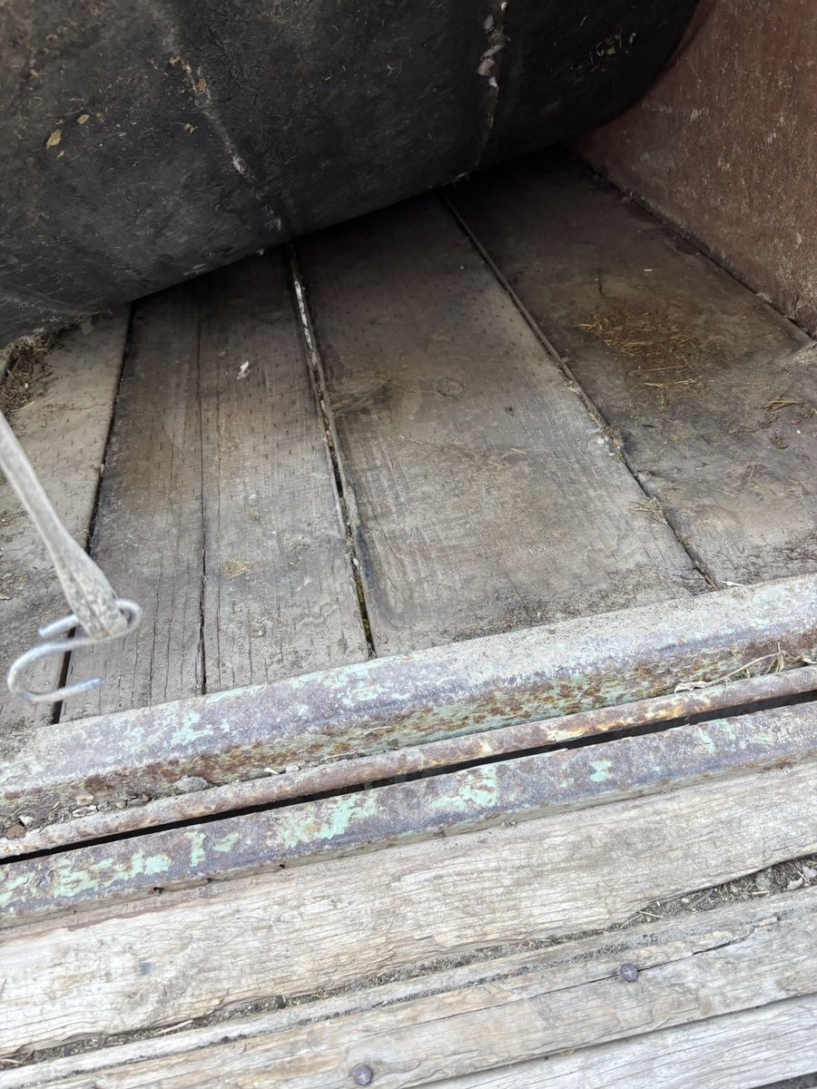Main image 6